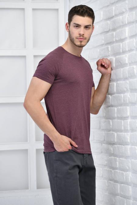 Mürdüm Erkek Bisiklet Yaka İnce Çizgili Likralı Slim Fit T-Shirt F5432