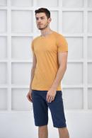 Hardal Erkek Bisiklet Yaka İnce Çizgili Likralı Slim Fit T-Shirt F5432